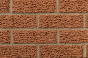 Copper Bark